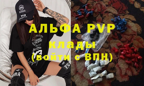 ECSTASY Богородск