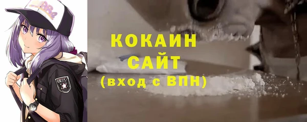 ECSTASY Бородино