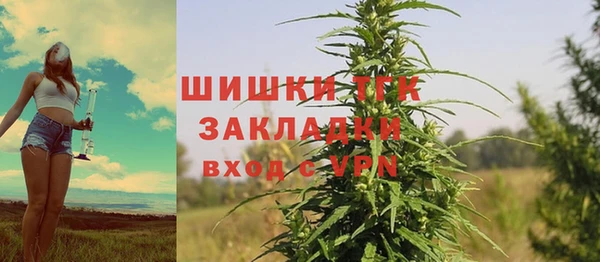 ECSTASY Богородск